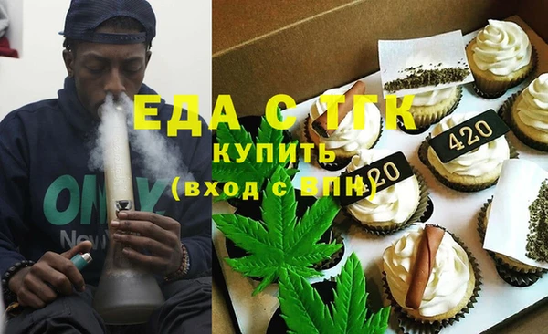 гидра Гусев