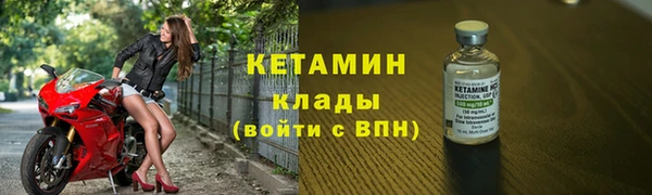 гидра Гусев