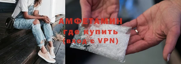 гидра Гусев