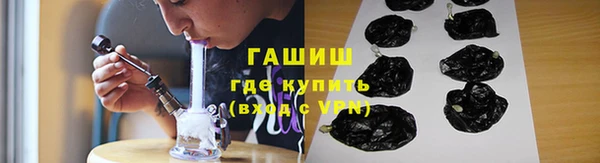 гидра Гусев