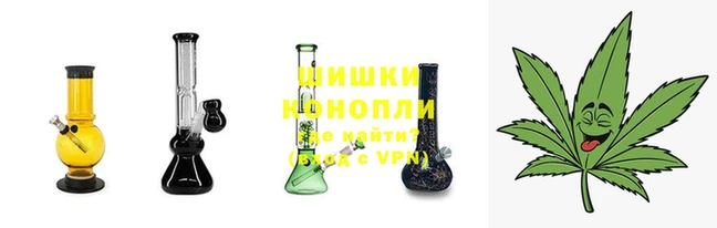 гидра Гусев