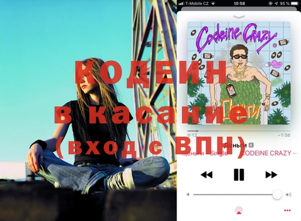 гидра Гусев
