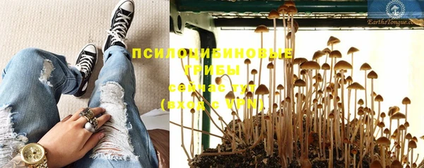 гидра Гусев
