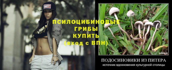 марки nbome Гусиноозёрск