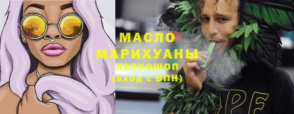гидра Гусев