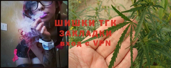 молекула духа Елабуга